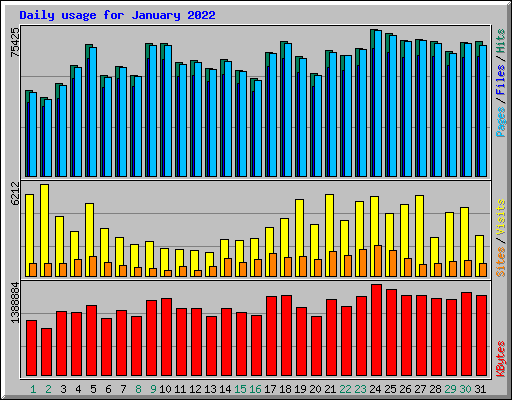 Daily usage for January 2022