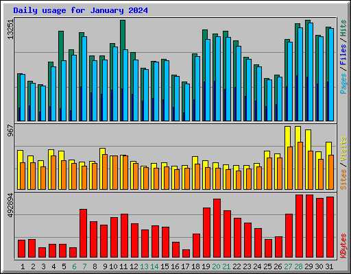 Daily usage for January 2024