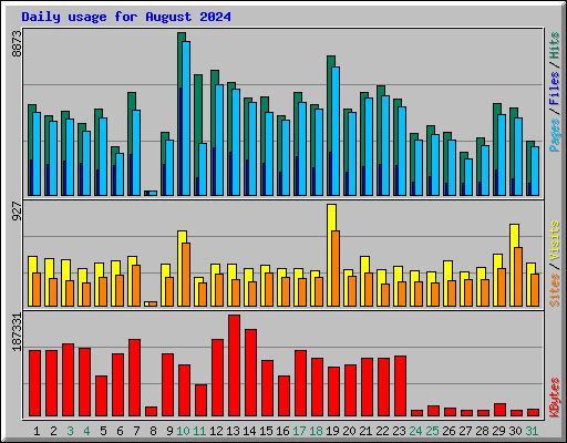 Daily usage for August 2024