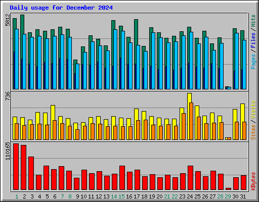 Daily usage for December 2024