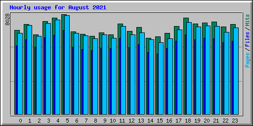 Hourly usage for August 2021