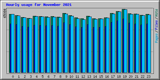 Hourly usage for November 2021