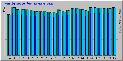 Hourly usage for January 2022