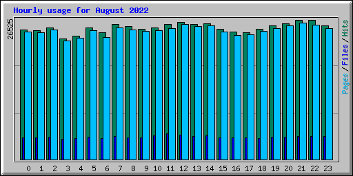 Hourly usage for August 2022