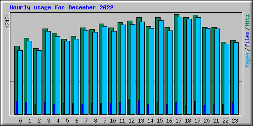 Hourly usage for December 2022