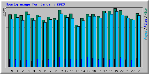 Hourly usage for January 2023