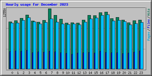 Hourly usage for December 2023