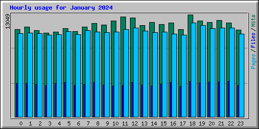 Hourly usage for January 2024