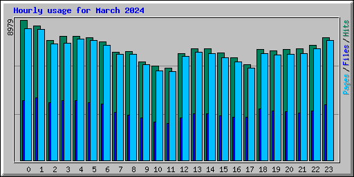 Hourly usage for March 2024