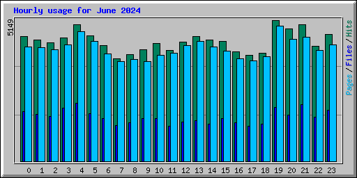 Hourly usage for June 2024