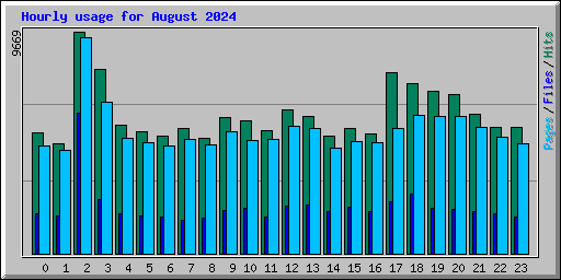 Hourly usage for August 2024