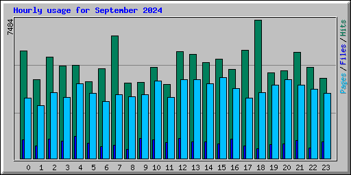 Hourly usage for September 2024