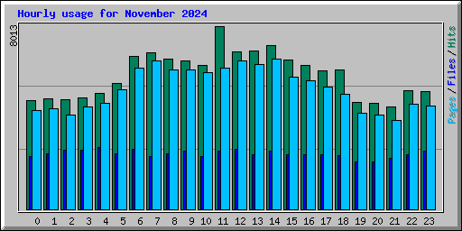 Hourly usage for November 2024