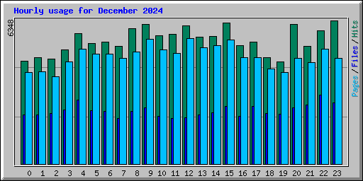 Hourly usage for December 2024