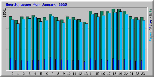 Hourly usage for January 2025
