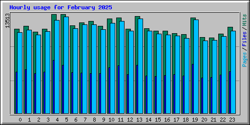 Hourly usage for February 2025