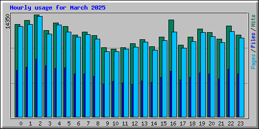 Hourly usage for March 2025