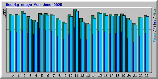 Hourly usage for June 2025