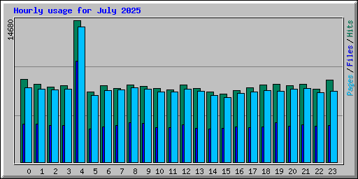Hourly usage for July 2025