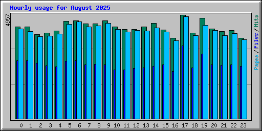 Hourly usage for August 2025