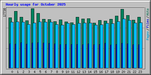 Hourly usage for October 2025