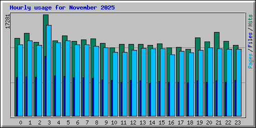 Hourly usage for November 2025