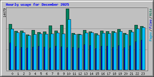 Hourly usage for December 2025