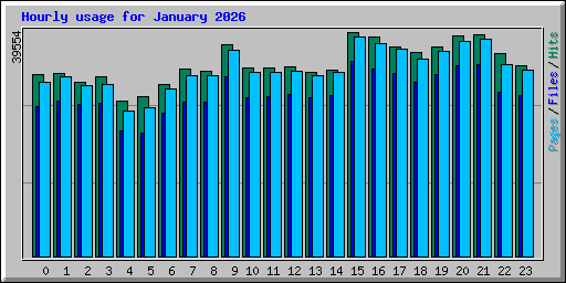 Hourly usage for January 2026