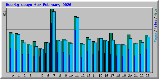 Hourly usage for February 2026